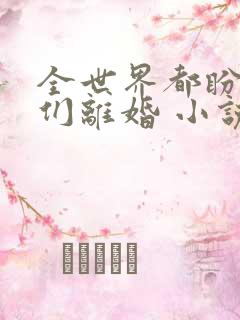 全世界都盼着我们离婚 小说