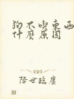 狗不吃东西还吐什么原因