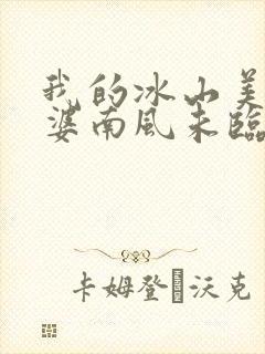 我的冰山美女老婆南风未临的小说