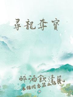 寻龙夺宝
