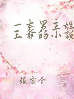 一本男主姓萧是王爷的小说