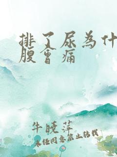 排了尿为什么小腹会痛