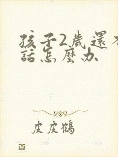 孩子2岁还不说话怎么办