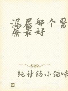 漏尿哪个医院治疗最好