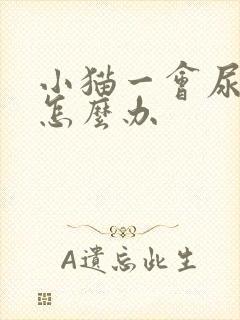 小猫一会尿一点怎么办