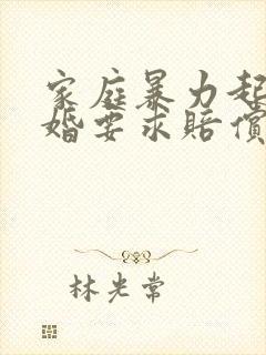 家庭暴力起诉离婚要求赔偿