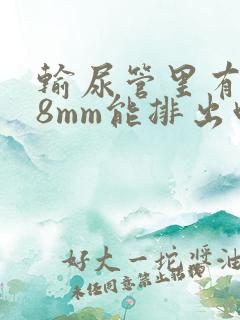 输尿管里有结石8mm能排出吗