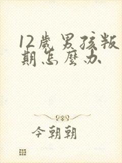 12岁男孩叛逆期怎么办