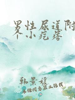 男性尿道附近有个小疙瘩