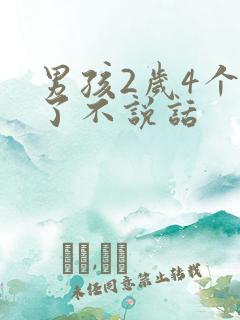 男孩2岁4个月了不说话