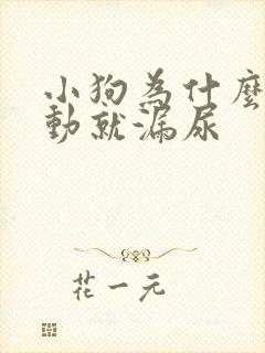 小狗为什么一激动就漏尿