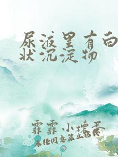 尿液里有白色絮状沉淀物