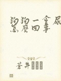 狗狗一会尿一点怎么回事