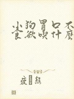 小狗胃口不好没食欲吃什么最开胃