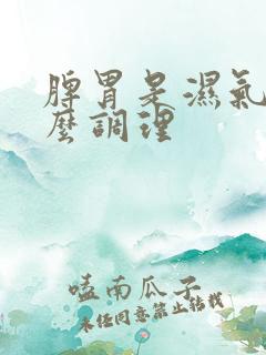 脾胃是湿气重怎么调理