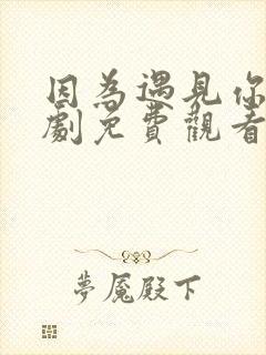 因为遇见你电视剧免费观看全集