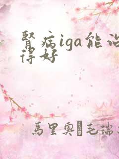 肾病iga能治得好