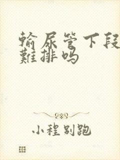 输尿管下段结石难排吗