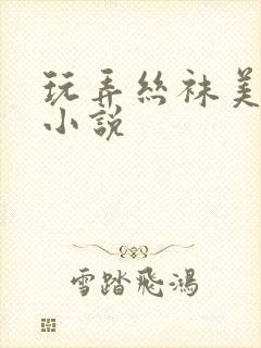 玩弄丝袜美女h小说