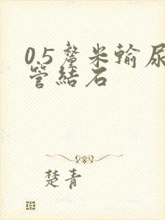 0.5厘米输尿管结石