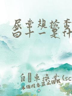 尿常规检查尿蛋白十一是什么意思