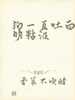 狗一直吐白色透明粘液