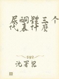 尿酮体三个加号代表什么