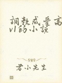 调教成爱高h1v1的小说