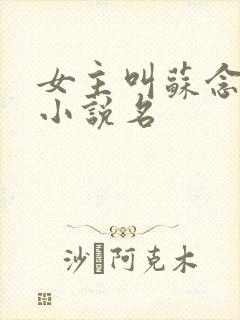 女主叫苏念卿的小说名