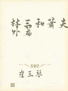 林三和萧夫人番外篇
