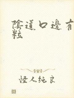 阴道口边有小肉粒