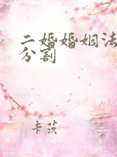 二婚婚姻法财产分割