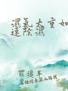 湿气太重如何快速除湿