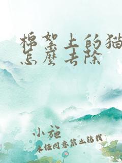 棉絮上的猫尿味怎么去除