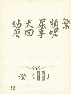 幼犬尿频繁是怎么回事呢