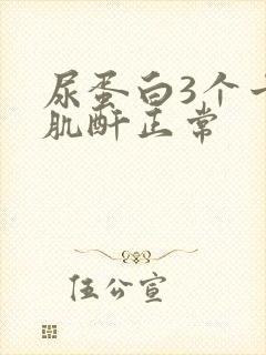 尿蛋白3个十号肌酐正常