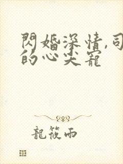 闪婚深情,司少的心尖宠