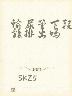 输尿管下段结石能排出吗