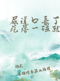 尿道口长了个肉疙瘩一碰就疼