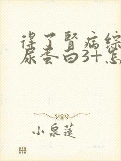 得了肾病综合症尿蛋白3+怎么办