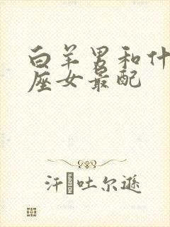 白羊男和什么星座女最配