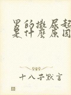 男的撒尿起泡泡是什么原因