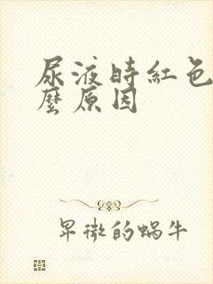 尿液时红色的什么原因