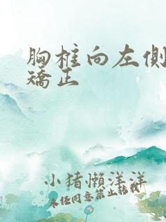 胸椎向左侧侧弯矫正