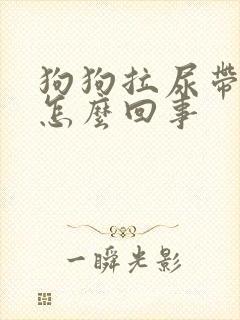 狗狗拉尿带点血怎么回事