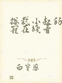 总裁小叔的心尖宠在线看