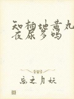 知柏地黄丸能治夜尿多吗