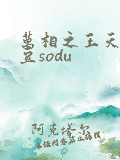 万相之王天蚕土豆sodu