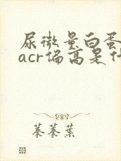 尿微量白蛋白和acr偏高是什么意思