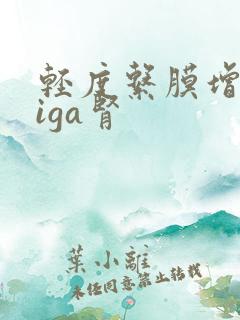 轻度系膜增生型iga肾
